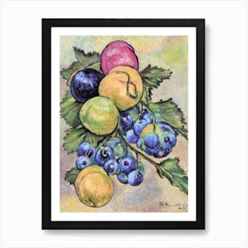Gooseberry Vintage Sketch Fruit Art Print