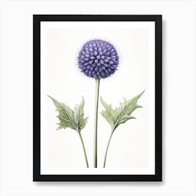 Echinops Vintage Botanical Herbs 2 Art Print