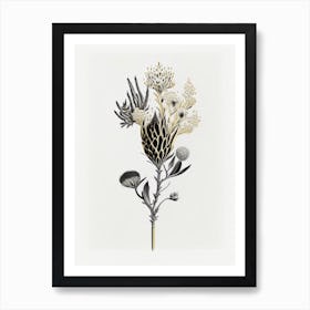 Silver Torch Joshua Tree Gold And Black (8) Art Print