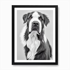 Newfoundland B&W Pencil Dog Art Print