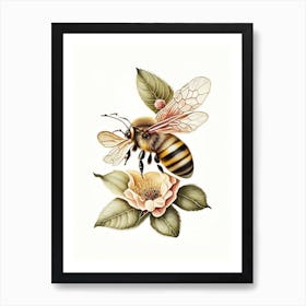 Honeybee And Flower 3 Vintage Art Print