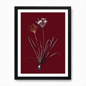 Vintage Allium Straitum Black and White Gold Leaf Floral Art on Burgundy Red n.0324 Art Print