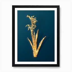 Vintage Antholyza Aethiopica Botanical in Gold on Teal Blue Art Print