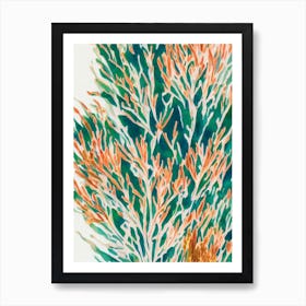 Acropora Suharsonoi Vintage Graphic Watercolour Art Print