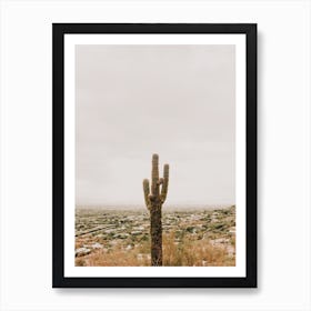 Phoenix Arizona Cactus Art Print