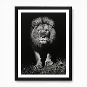 Barbary Lion Charcoal Drawing Night Hunt 3 Art Print