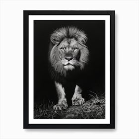 Barbary Lion Charcoal Drawing Night Hunt 3 Póster