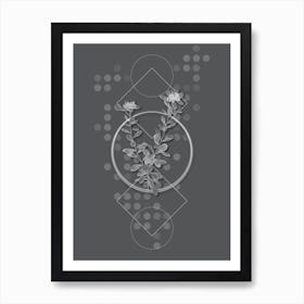 Vintage Daphne Sericea Flowers Botanical with Line Motif and Dot Pattern in Ghost Gray n.0309 Art Print