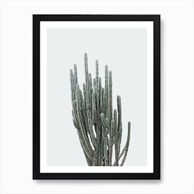 Muted Blue Cactus Art Print