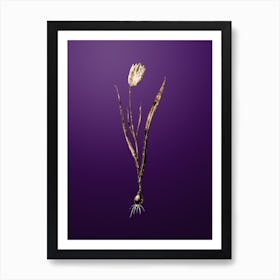 Gold Botanical Lady Tulip on Royal Purple n.1010 Art Print
