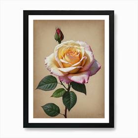 Rose flowers Art Print