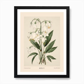 Yukiyanagi Snowdrop 2 Vintage Japanese Botanical Poster Art Print