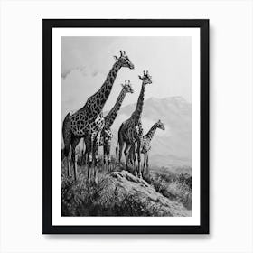 Herd Of Giraffe Pencil Portrait 1 Art Print