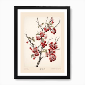 Sakura Cherry Blossom 5 Vintage Japanese Botanical Poster Art Print