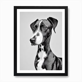 Bluetick Coonhound B&W Pencil Dog Art Print