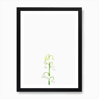 Lily of Valley Art Print