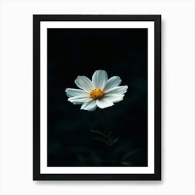 White Flower 15 Art Print