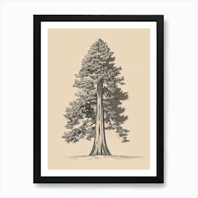 Redwood Tree Minimalistic Drawing 3 Poster