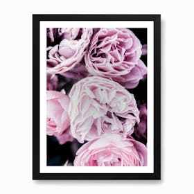 Pink Flowers II Art Print