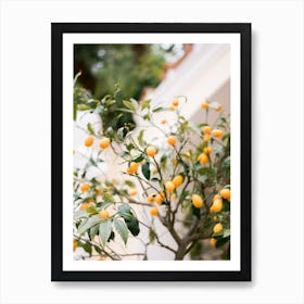 Orange Capri Art Print