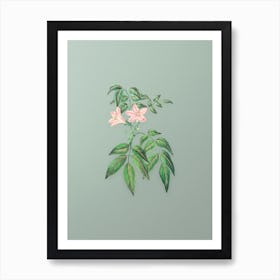 Vintage Turraea Pinnata Flower Botanical Art on Mint Green n.0178 Art Print