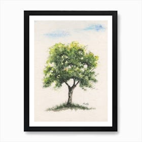 Burr oak tree art Art Print