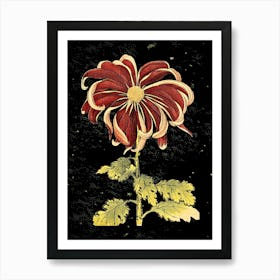 Beauty On the Night Art Print