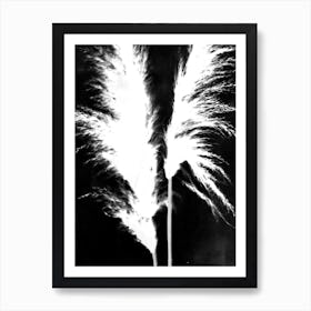 Black white pampas grass Art Print