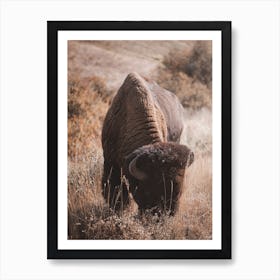 Rustic Bison Art Print