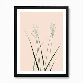 Grass Plant Minimalist Illustration 3 Art Print