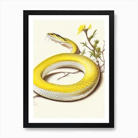 Yellow Rat Snake 1 Vintage Art Print