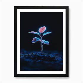 Neon Plant In The Dark 3 Art Print