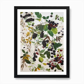 Blackberry Fruit Drawing 2 Art Print