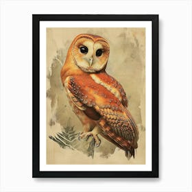 Australian Masked Owl Vintage Illustration 3 Art Print
