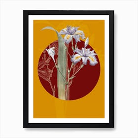 Vintage Botanical Butterfly Flower Iris Fimbriata on Circle Red on Yellow n.0188 Art Print