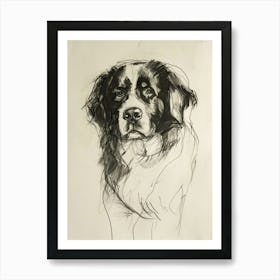 Bernese Mountain Dog Charcoal Line 1 Affiche