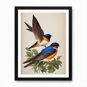 Barn Swallow James Audubon Vintage Style Bird Art Print