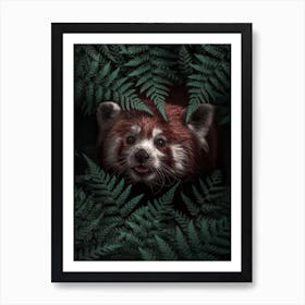 Cute Red Panda Art Print