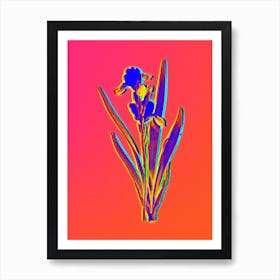 Neon Tall Bearded Iris Botanical in Hot Pink and Electric Blue n.0084 Art Print