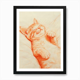 Cat Sleeping 2 Art Print