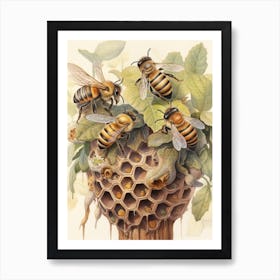 Wool Carder Mimic Bee Beehive Watercolour Illustration 2 Art Print