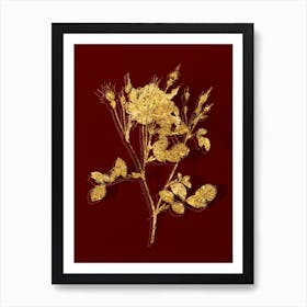 Vintage Anemone Flowered Sweetbriar Rose Botanical in Gold on Red n.0612 Art Print