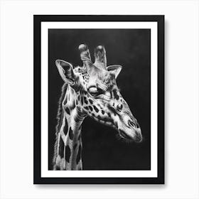 Giraffe Grey Pencil Drawing 2 Art Print