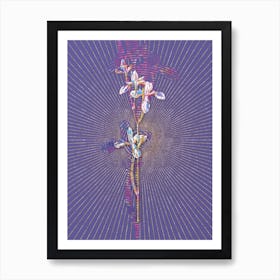 Geometric Siberian Iris Mosaic Botanical Art on Veri Peri n.0197 Art Print