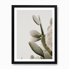 Neutral Cactus Art Print