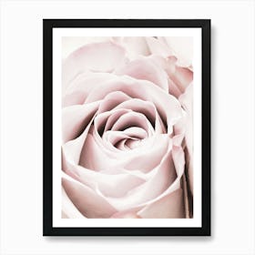 Pink Rose Vintage_2066828 Art Print