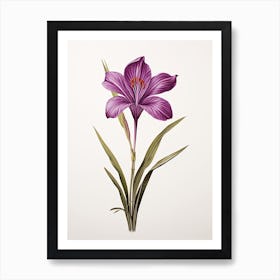 Saffron Vintage Botanical Herbs 1 Art Print