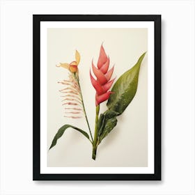 Pressed Flower Botanical Art Heliconia 1 Art Print