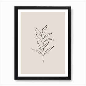 Plant Line Art No 394c Art Print