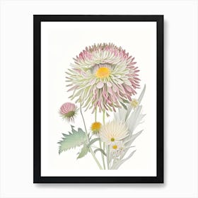 Chrysanthemum Floral Quentin Blake Inspired Illustration 3 Flower Art Print